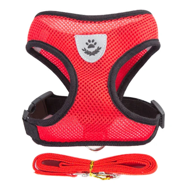 Cat Harness Vest & Walking Lead Leash for Puppies and Dogs