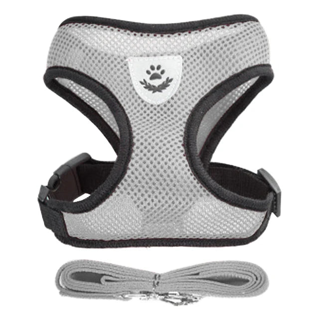 Cat Harness Vest & Walking Lead Leash for Puppies and Dogs