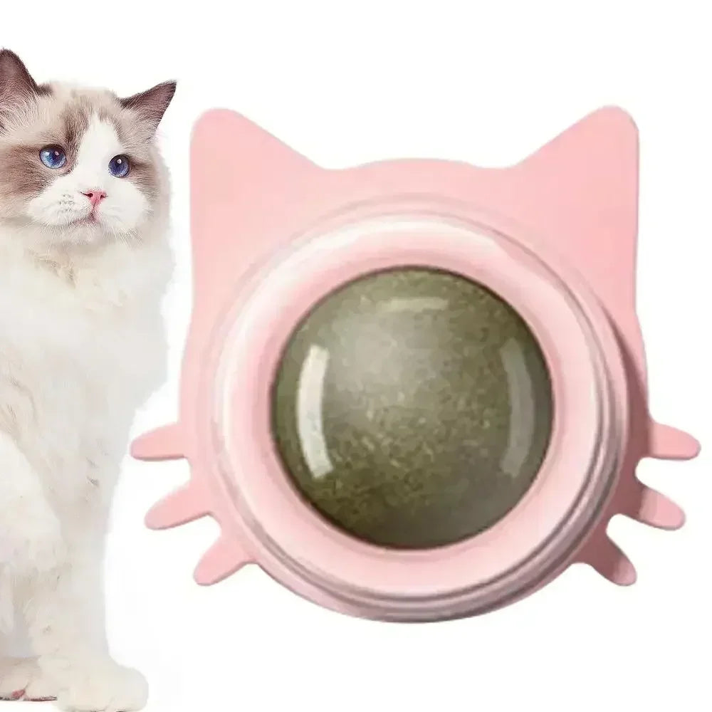 Catnip Balls - Funny Lickable Cat Snack & Chewing Toy