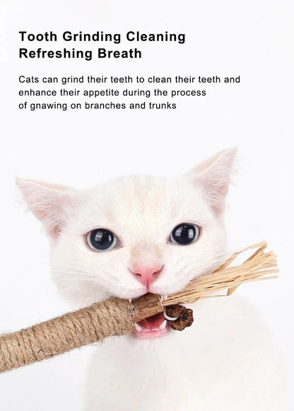 Silvervine Chew Stick Cat Toy