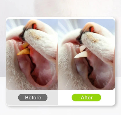 Silvervine Chew Stick Cat Toy