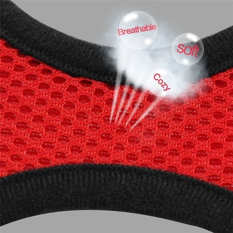 Cat Harness Vest & Walking Lead Leash for Puppies and Dogs