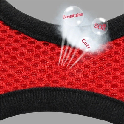 Cat Harness Vest & Walking Lead Leash for Puppies and Dogs