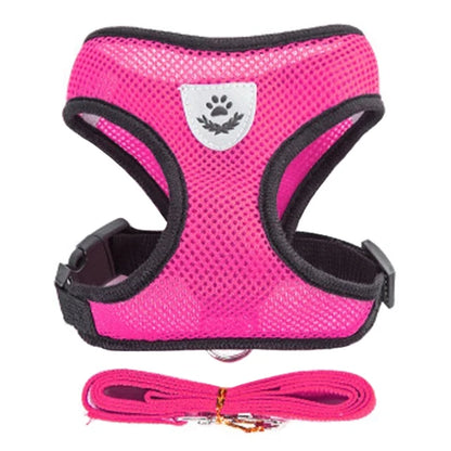 Cat Harness Vest & Walking Lead Leash for Puppies and Dogs