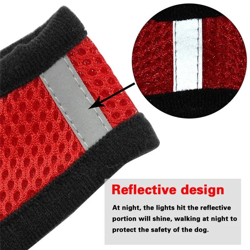 Cat Harness Vest & Walking Lead Leash for Puppies and Dogs