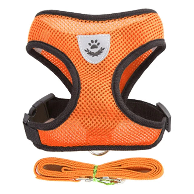 Cat Harness Vest & Walking Lead Leash for Puppies and Dogs