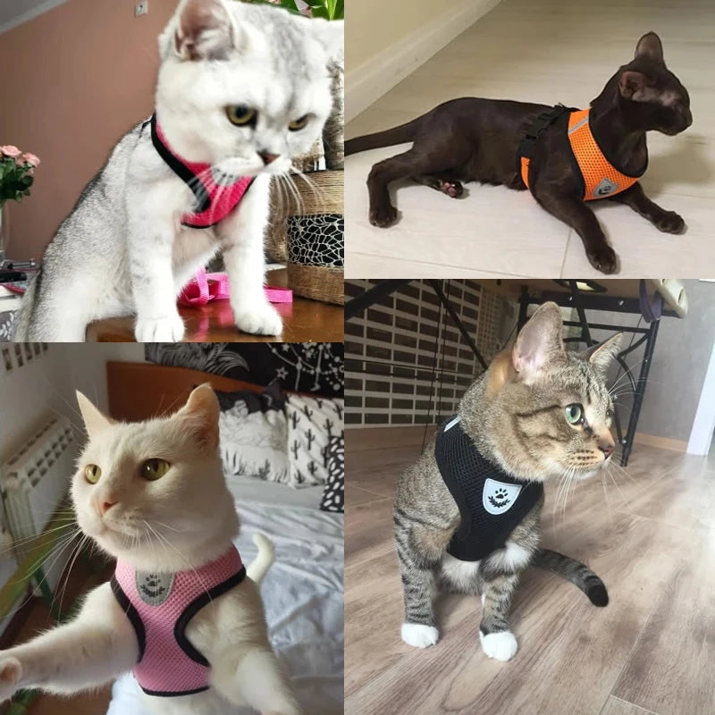 Cat Harness Vest & Walking Lead Leash for Puppies and Dogs