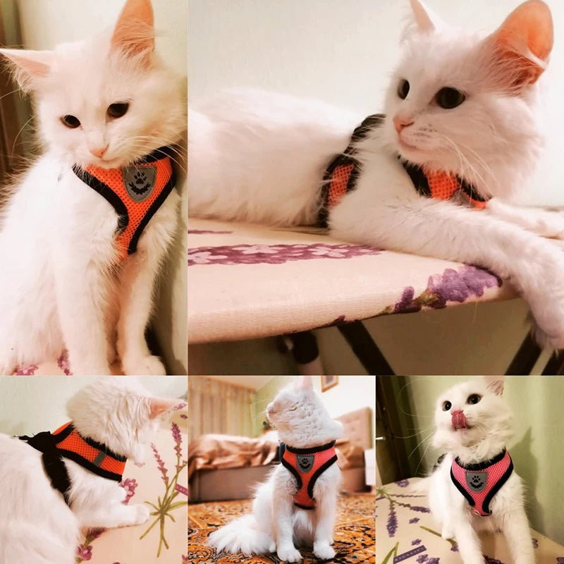 Cat Harness Vest & Walking Lead Leash for Puppies and Dogs