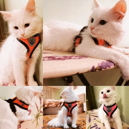 Cat Harness Vest & Walking Lead Leash for Puppies and Dogs