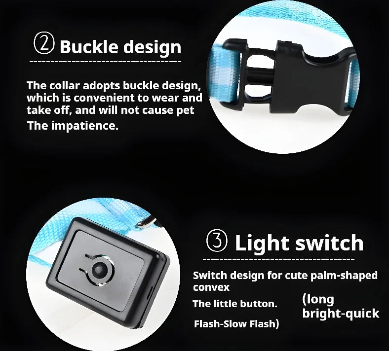 Dog Collar with LED Night Safety Flashing Glow in the Dark