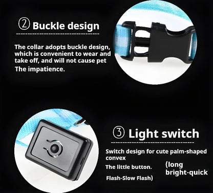 Dog Collar with LED Night Safety Flashing Glow in the Dark