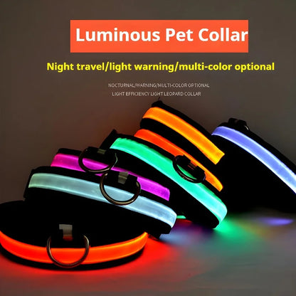 Dog Collar with LED Night Safety Flashing Glow in the Dark