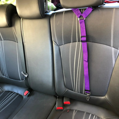 Pet Safety Adjustable Car Seat Belt Leash