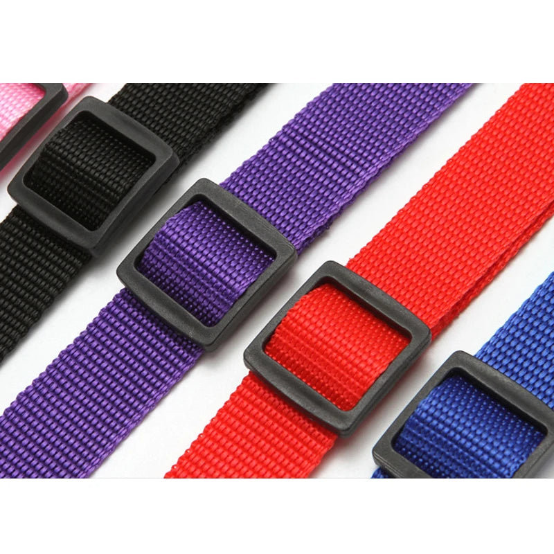 Pet Safety Adjustable Car Seat Belt Leash