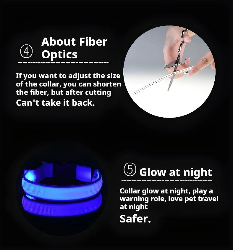 Dog Collar with LED Night Safety Flashing Glow in the Dark