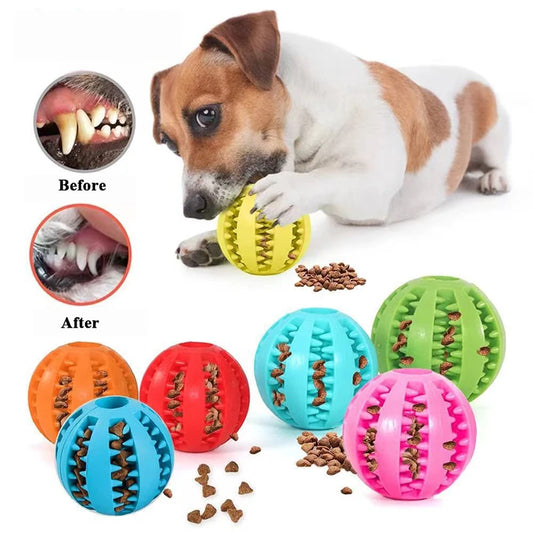 Pet Dog Toy Interactive Rubber Balls