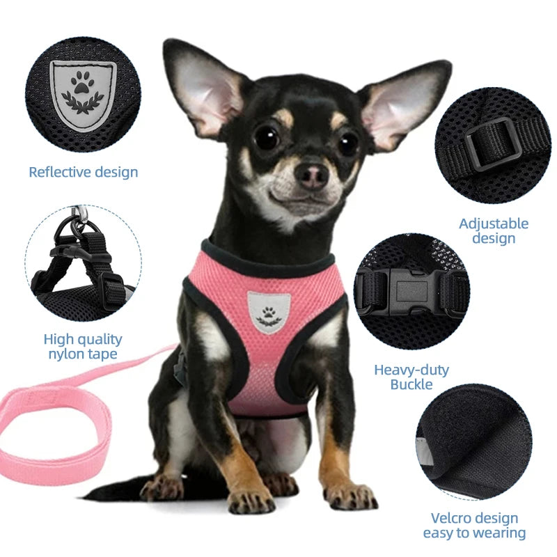 Cat Harness Vest & Walking Lead Leash for Puppies and Dogs