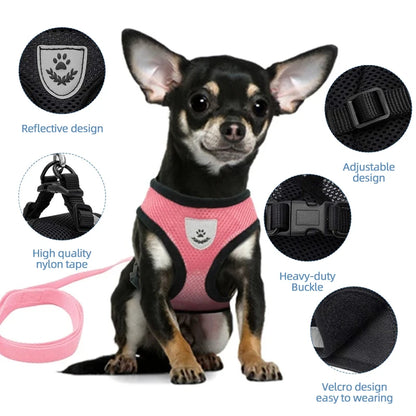 Cat Harness Vest & Walking Lead Leash for Puppies and Dogs