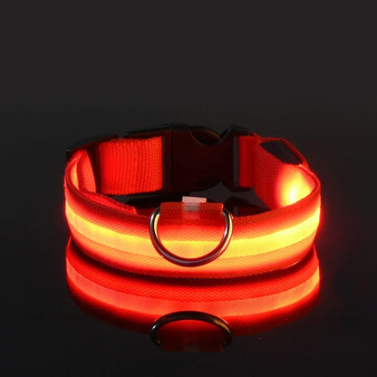 Dog Collar with LED Night Safety Flashing Glow in the Dark