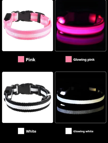 Dog Collar with LED Night Safety Flashing Glow in the Dark