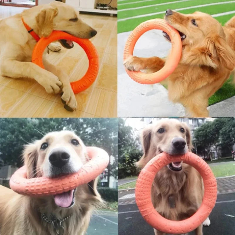 EVA Interactive Flying Disk Dog Toy