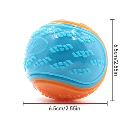 Dog Squeaky Ball