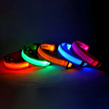 Dog Collar with LED Night Safety Flashing Glow in the Dark