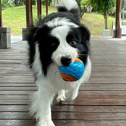 Dog Squeaky Ball