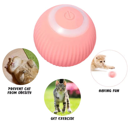 Pet Interactive Smart Ball