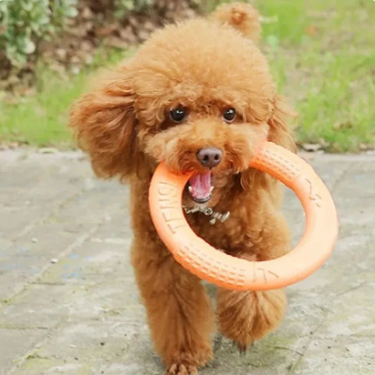 EVA Interactive Flying Disk Dog Toy