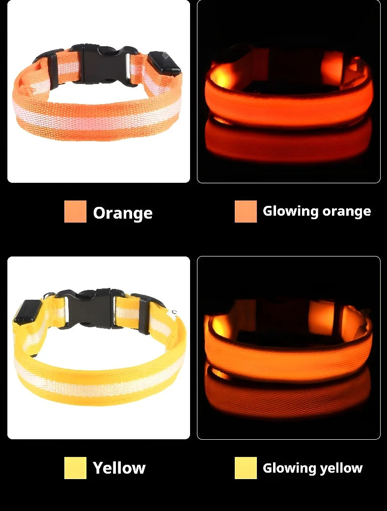 Dog Collar with LED Night Safety Flashing Glow in the Dark