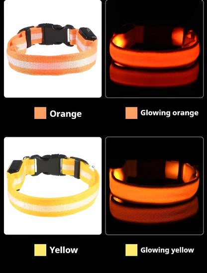 Dog Collar with LED Night Safety Flashing Glow in the Dark