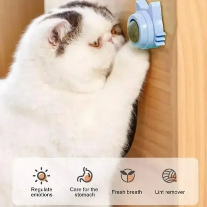 Catnip Balls - Funny Lickable Cat Snack &  Chewing Toy