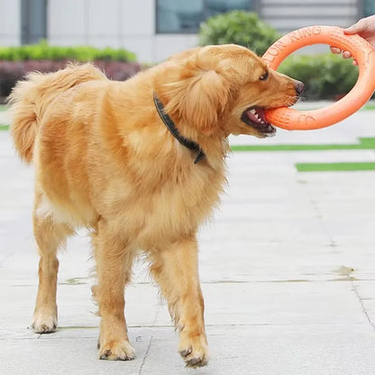 EVA Interactive Flying Disk Dog Toy