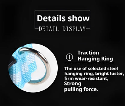 Dog Collar with LED Night Safety Flashing Glow in the Dark