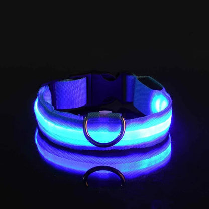 Dog Collar with LED Night Safety Flashing Glow in the Dark