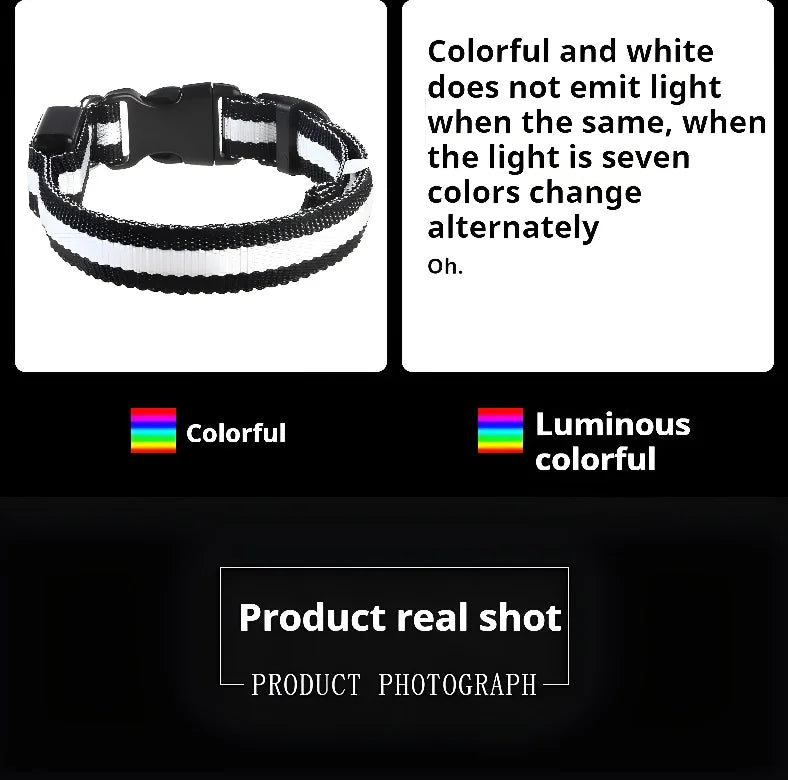 Dog Collar with LED Night Safety Flashing Glow in the Dark