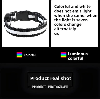 Dog Collar with LED Night Safety Flashing Glow in the Dark