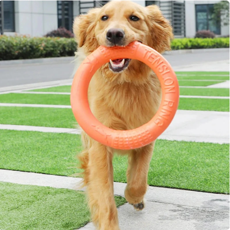EVA Interactive Flying Disk Dog Toy