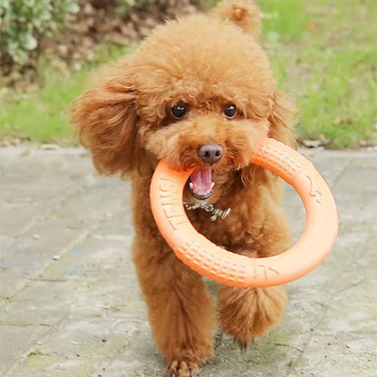 EVA Interactive Flying Disk Dog Toy