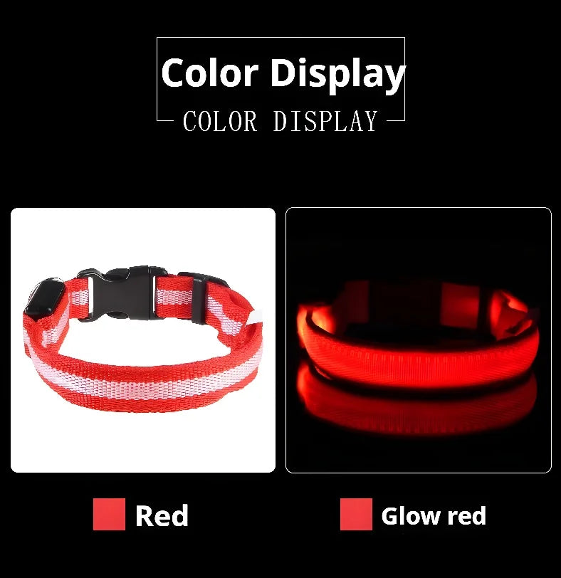 Dog Collar with LED Night Safety Flashing Glow in the Dark