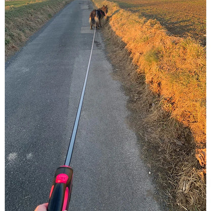 Retractable Dog Leash - 3m, 5m, 8m, 50kg Capacity
