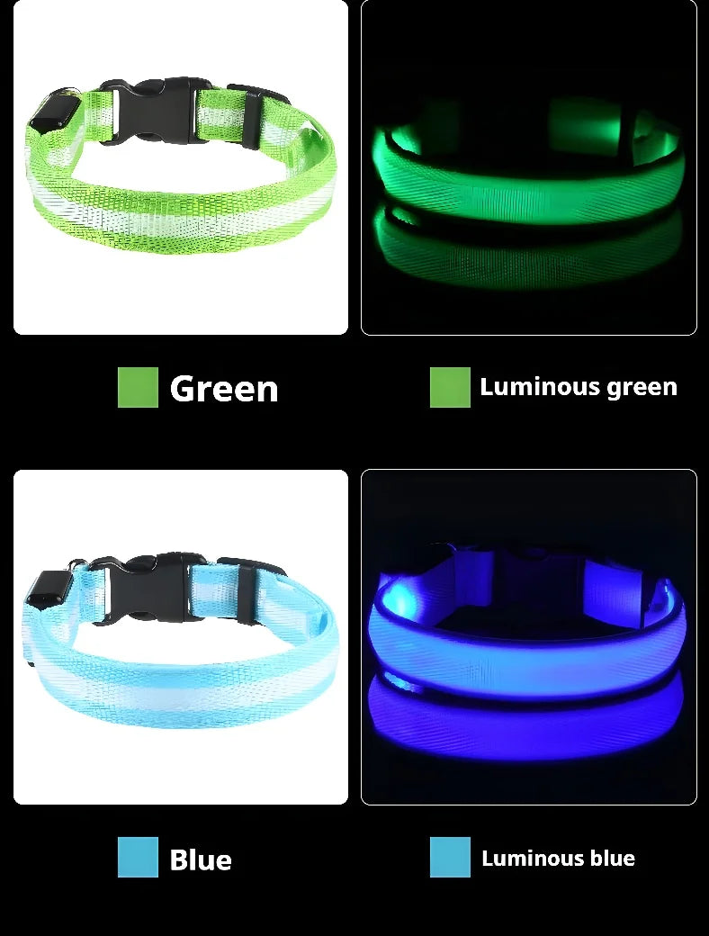 Dog Collar with LED Night Safety Flashing Glow in the Dark