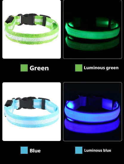 Dog Collar with LED Night Safety Flashing Glow in the Dark