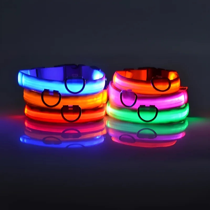 Dog Collar with LED Night Safety Flashing Glow in the Dark