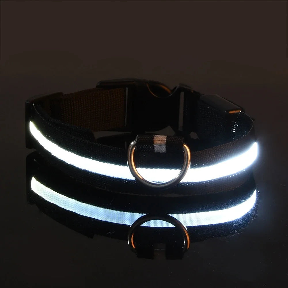 Dog Collar with LED Night Safety Flashing Glow in the Dark