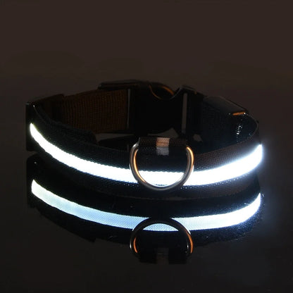 Dog Collar with LED Night Safety Flashing Glow in the Dark