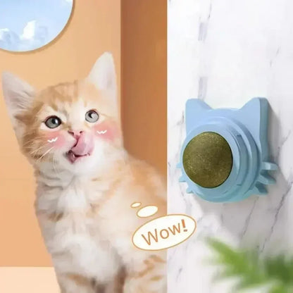 Catnip Balls - Funny Lickable Cat Snack &  Chewing Toy