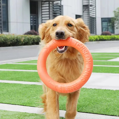 EVA Interactive Flying Disk Dog Toy