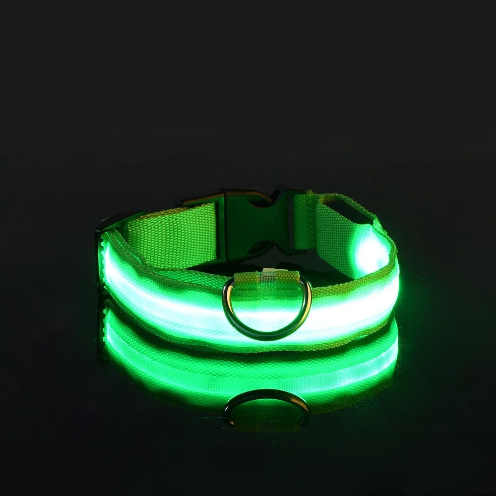 Dog Collar with LED Night Safety Flashing Glow in the Dark